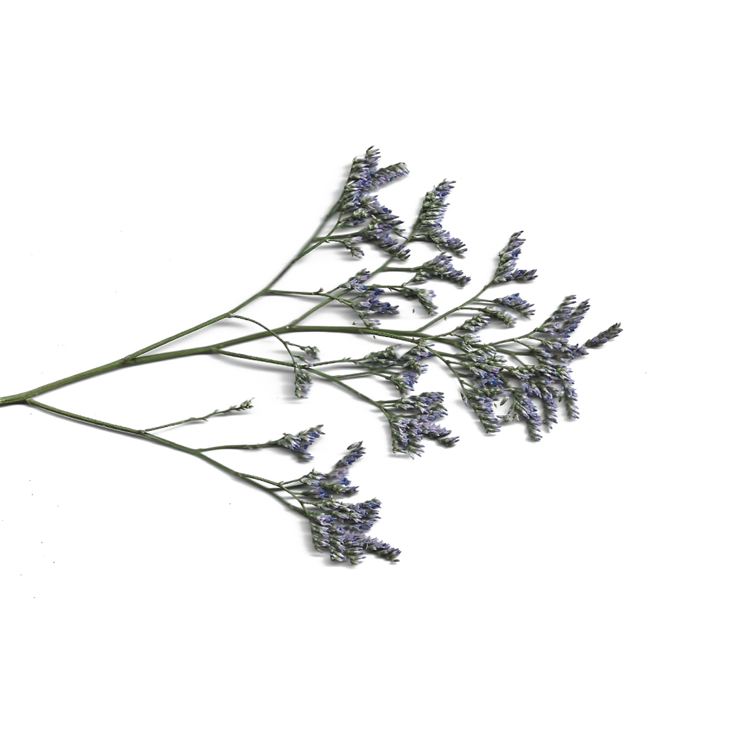 educatieve content over onze ingrediënten